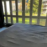Sehr Schoene In