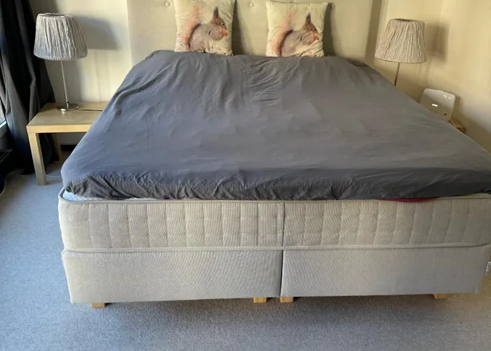 Sehr Schoene In * 엥겔베르그