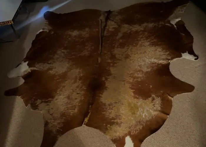 Sehr Schoene In 엥겔베르그