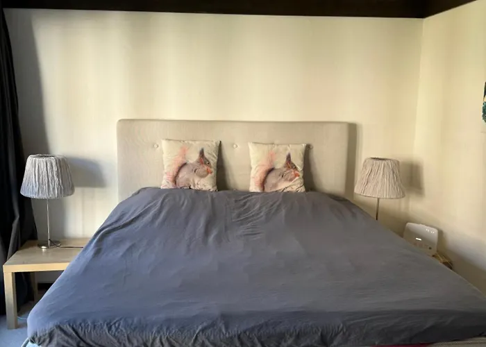 Sehr Schoene In 아파트 *