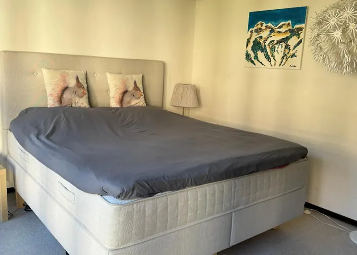 Sehr Schoene In 엥겔베르그