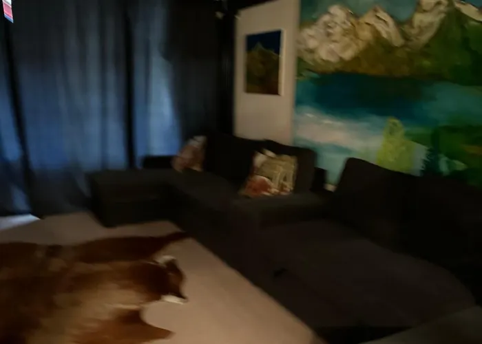 Sehr Schoene In 아파트 *